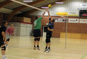 Volleyball ex
